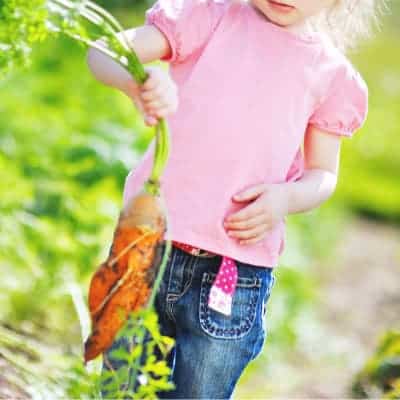 girl in pink shirt and jeans outside in a garden holding freshly pulled carrots