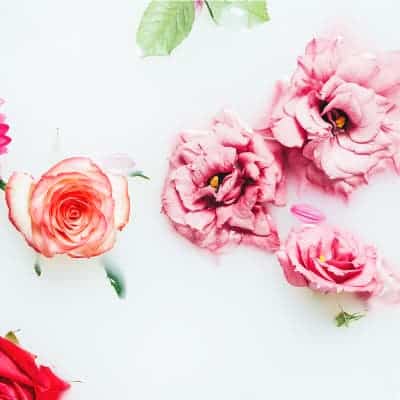 roses floating in milk bath