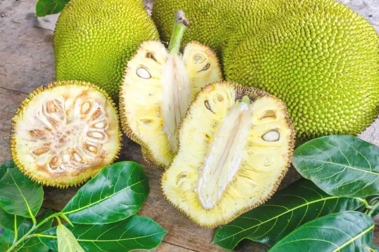 What Does Jackfruit Taste Like? [Plus, Tips For Picking A Good One]
