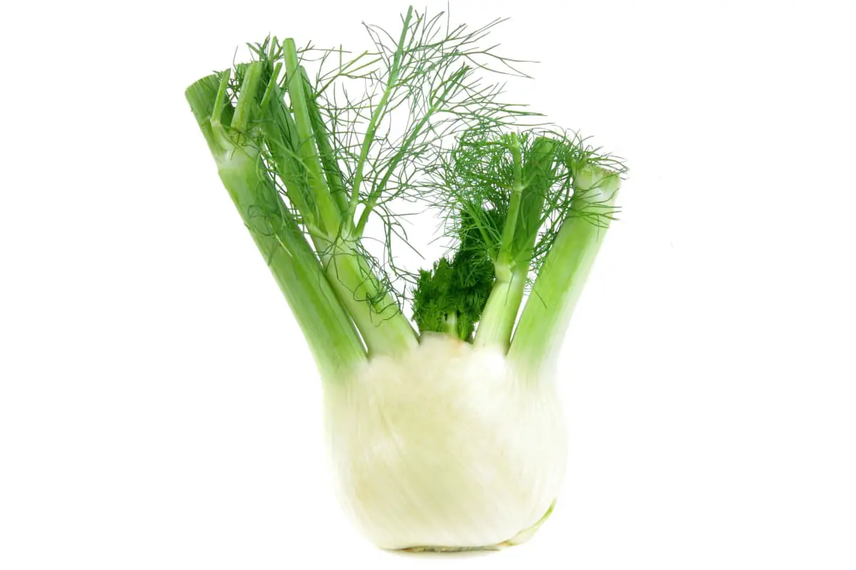 What Does Fennel Taste Like? [And What Can You Do With It]
