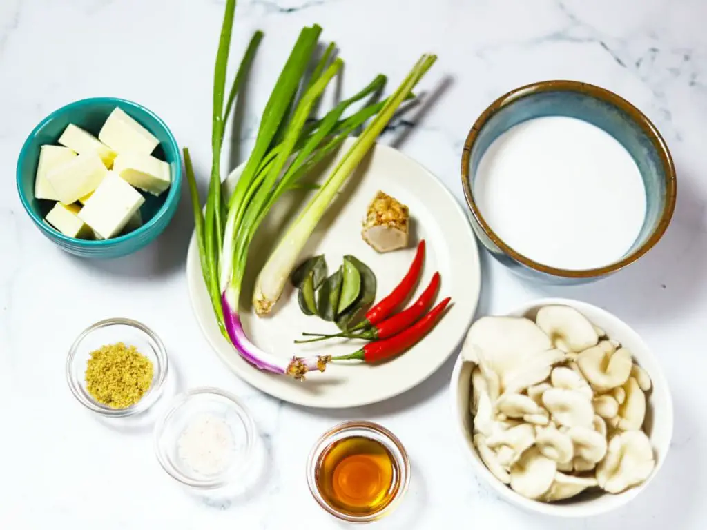 ingredients for authentic tom kha with oyster mushrooms and tofu